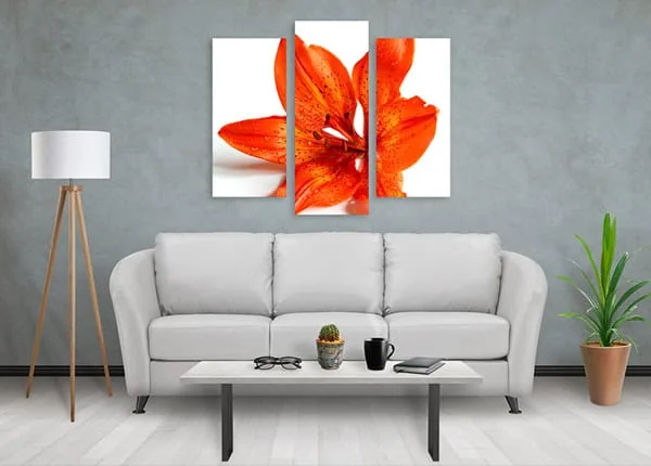 צמח קקטוס על שולחן בסלון עם תמונה של לילה מלא כוכבים על הקיר.